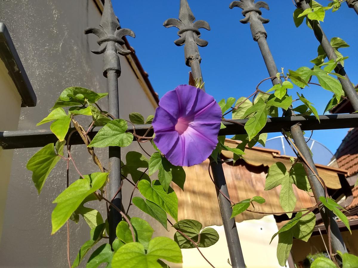 Pousada Castelinho Maricá Eksteriør bilde